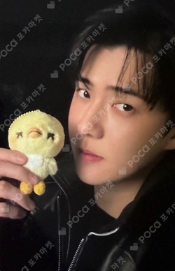 [EXO] SEHUN - BIRD トレカ Pocamarket, EXO SEHUN EXO PLANET #6 – EXhOrizon in JAPAN PREMIUM