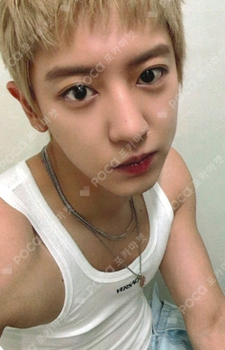 Pocamarket, EXO CHANYEOL LOVE ME RIGHT CHINESE Ver. SMTOWN MUSEUM