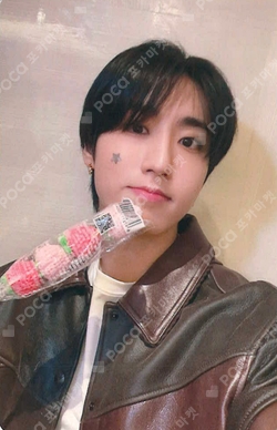 Pocamarket, Stray Kids HAN Stray Kids Fan Connecting 2024 SKZ TOY