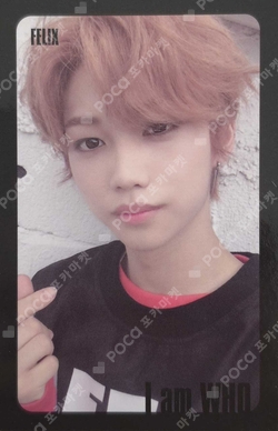 Pocamarket, Stray Kids FELIX Clé 2 : Yellow Wood K-pop Photocard