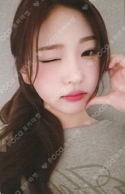 The Chase KMS photocard