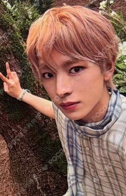 Pocamarket, NCT YUSHI DICON VOLUME N°29 NCT WISH B TYPE WEVERSE K