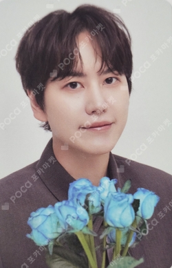 Pocamarket, SUPER JUNIOR KYUHYUN SUPER JUNIOR PHOTO CARD RANDOM