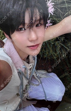 Pocamarket, NCT JAEHEE Steady I ♥ WISH Ver. K-pop Photocard