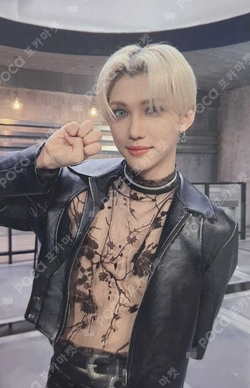 Pocamarket, Stray Kids FELIX MAXIDENT Yizhiyu K-pop Photocard