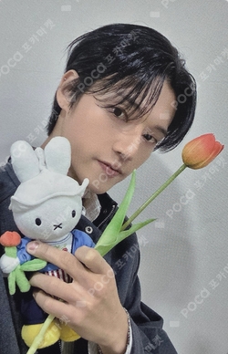 Pocamarket, ATEEZ WOOYOUNG Into the A to Z LIMITED K-pop Photocard