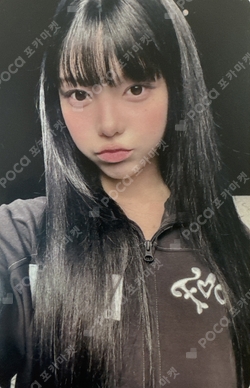 FOCUS KMS photocard