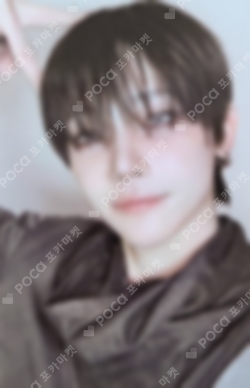 Pocamarket, &TEAM NICHOLAS Back to Life STUDIO CHOOM GIFT K-pop