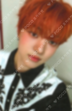 Pocamarket, &TEAM EJ Go in Blind WEVERSE JAPAN K-pop Photocard