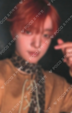 &TEAM Photocards | Pocamarket