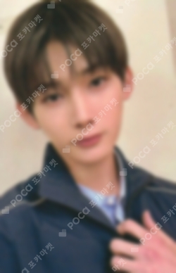 &TEAM Photocards | Pocamarket