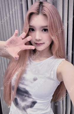 The Chase KMS WINNER photocard