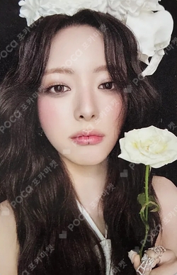 ITZY Photocards | Pocamarket