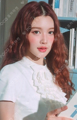 2026 SEASON'S GREETINGS RANDOM TRADING CARD SET A ver. photocard