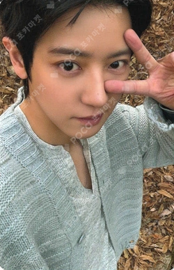Pocamarket, EXO CHANYEOL Black Out QQ MUSIC K-pop Photocard