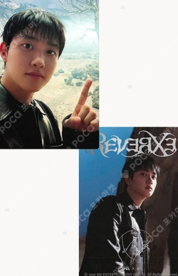 Pocamarket, EXO D.O. REVERXE QQ MUSIC K-pop Photocard