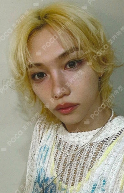 Pocamarket, Stray Kids FELIX DICON VOLUME N°21 STRAY KIDS : Summer