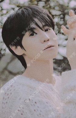 Pocamarket, Highlight YANG YO SEOP 2026 YANG YOSEOP SOLO CONCERT