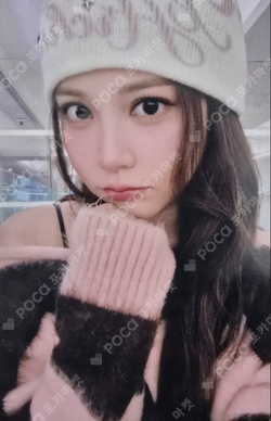 FOCUS KMS photocard