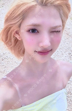Lemon Tang Summer Kit Ver. photocard
