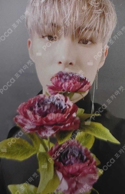 Pocamarket, ATEEZ MINGI SPIN OFF : FROM THE WITNESS WONDERWALL K