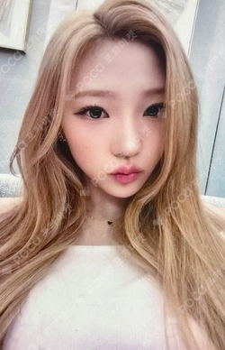 FOCUS KMS photocard