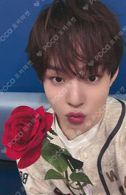 Pocamarket, KickFlip Keiju SEOUL SPRING FESTA K-pop Photocard
