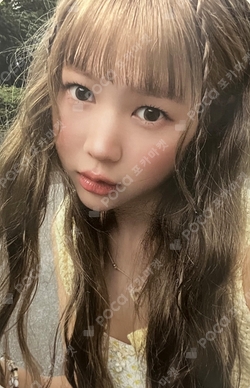 Lemon Tang Sticker Ver. photocard