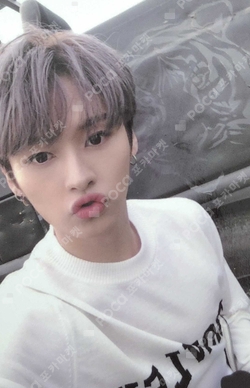 Pocamarket, Stray Kids LEE KNOW Clé : LEVANTER K-pop Photocard