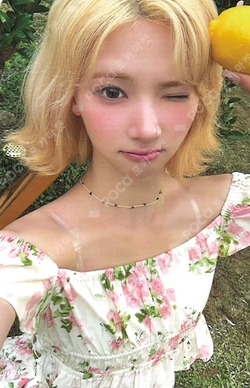 Lemon Tang Sticker Ver. photocard