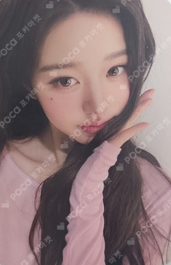 AMUSE photocard