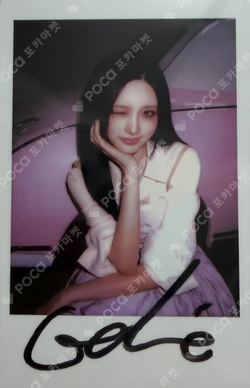 KNIGHT photocard