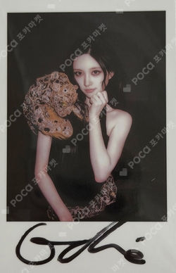 KNIGHT photocard