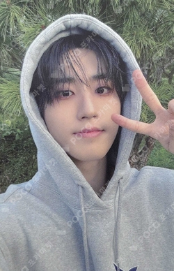 Pocamarket, Stray Kids HAN Christmas EveL HOTTRACKS K-pop Photocard