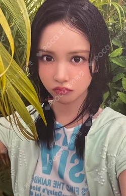 Lemon Tang UNIVERSAL/WEVERSE JAPAN photocard