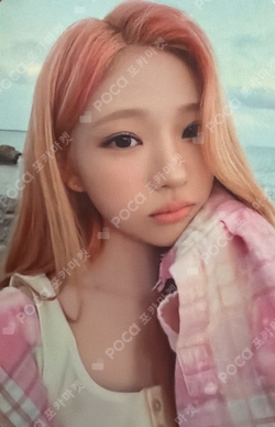 Lemon Tang UNIVERSAL/WEVERSE JAPAN photocard