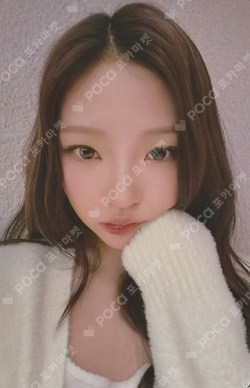 FOCUS KMS photocard
