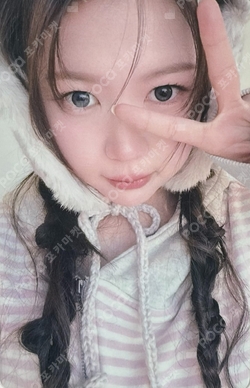 FOCUS KMS photocard
