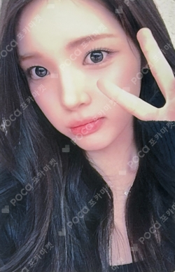 FOCUS KMS photocard