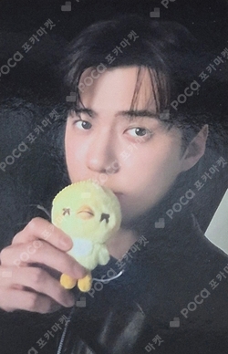 Pocamarket, EXO SEHUN XOXO K-pop Photocard