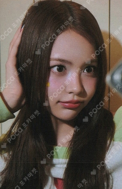 FOCUS YPBOOKS photocard