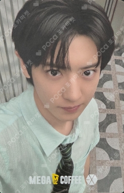 Pocamarket, EXO CHANYEOL 10th Anniversary Repackage Photo Card Set