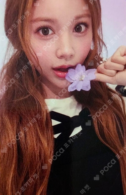 ICONIC HEART Limited D Ver. photocard