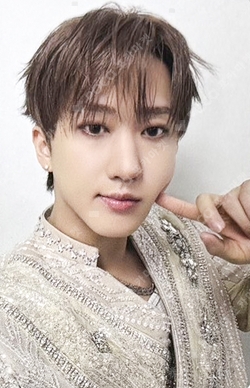 Pocamarket, Stray Kids CHANGBIN Oddinary K-pop Photocard