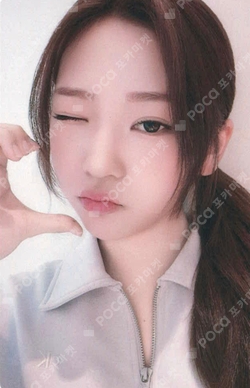 The Chase KMS WINNER photocard