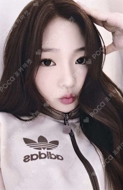 The Chase KMS WINNER photocard