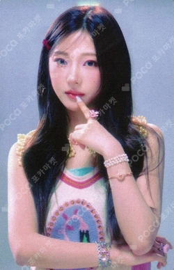 The Chase ACRYL STAND SET photocard