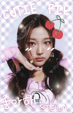 STYLE COLLECT BOOK SET photocard