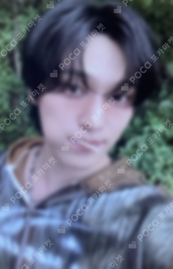 Pocamarket, Seventeen DINO 2026 DINOxPICHEOLIN [吉BOARD SHOW