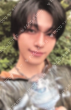 Pocamarket, Seventeen DINO 2026 DINOxPICHEOLIN [吉BOARD SHOW